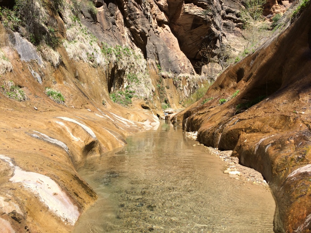 Zion national park: The Narrows and Orderville Canyon (6/6)